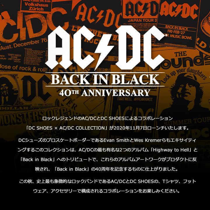DC SHOES ディーシーシューズ スリッポン スニーカー シューズ AC DC コラボ VILLAIN 2 ACDC (ADYS100643) セール | DC SHOES | 09