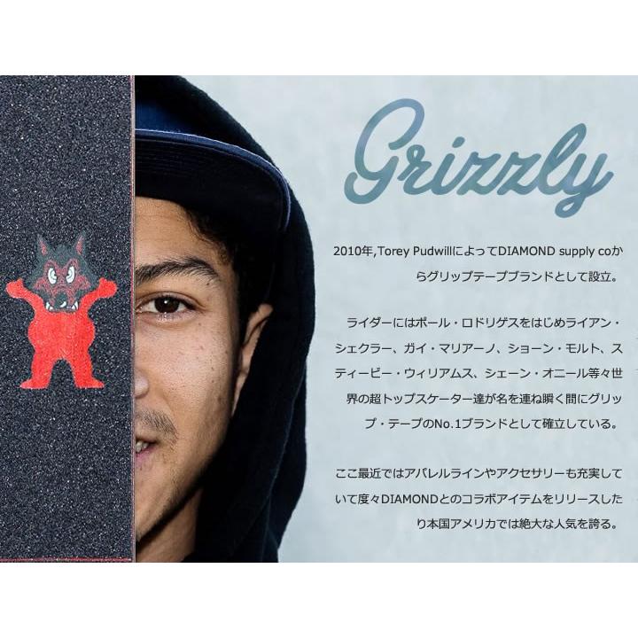 GRIZZLY グリズリー スウェットパーカー 総柄タイダイ Greatful Dead 