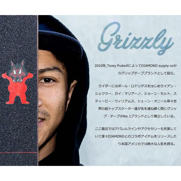 GRIZZLY グリズリー スウェットパーカー フラッグロゴ G.G.C セール｜clever｜11