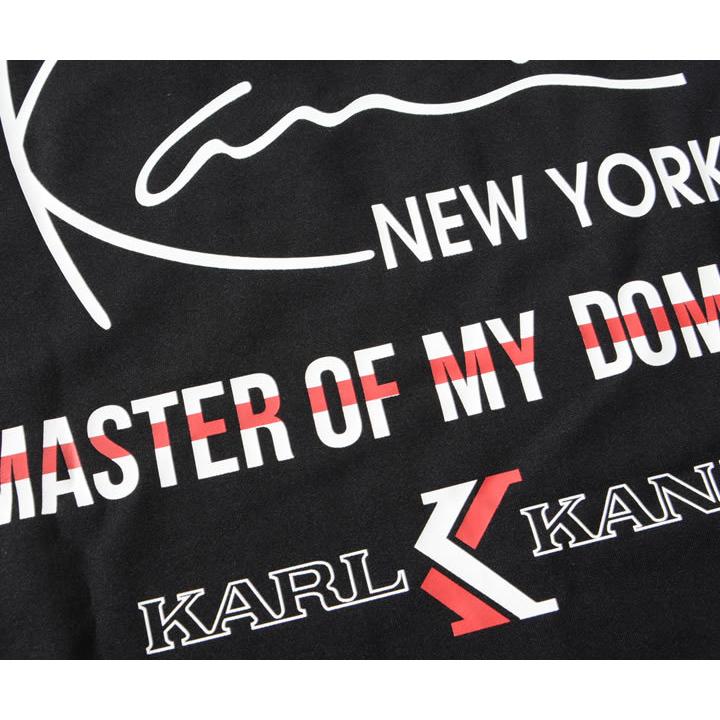 Karl Kani（カールカナイ） ロンT ハイネック アームラインデザイン