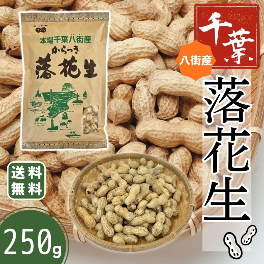 千葉 落花生 2025年 千葉県八街産 新豆【1袋】250g 殻付き