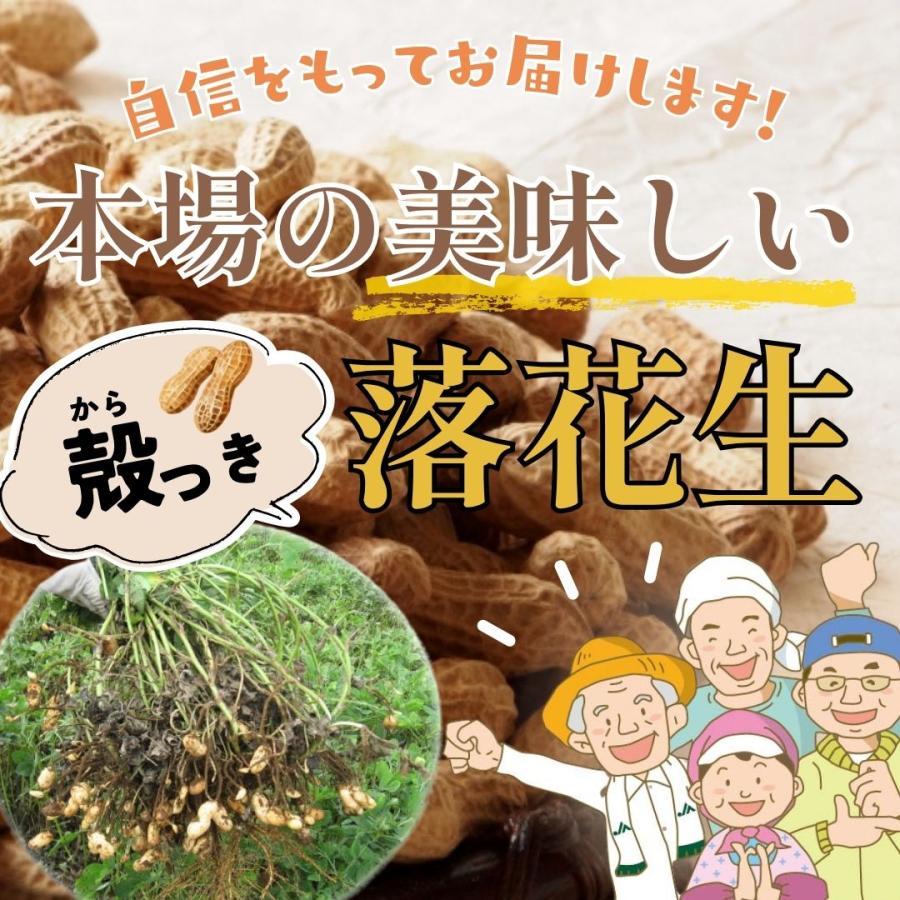 千葉 落花生 2025年 千葉県八街産 新豆【1袋】250g 殻付き