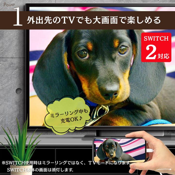 HDMIアダプタ ミラーリング 変換 SWITCH2 Type-C TV iPhone Android