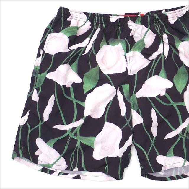 シュプリーム SUPREME Nylon Water Short (ショーツ)(スイムウェア