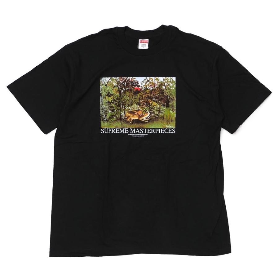 Supreme 新品 シュプリーム SUPREME Masterpieces Tee Tシャツ