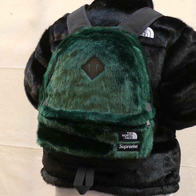 Supreme 新品 シュプリーム SUPREME x ザ ノースフェイス THE Supreme 新品 シュプリーム SUPREME x ザ ノースフェイス THE