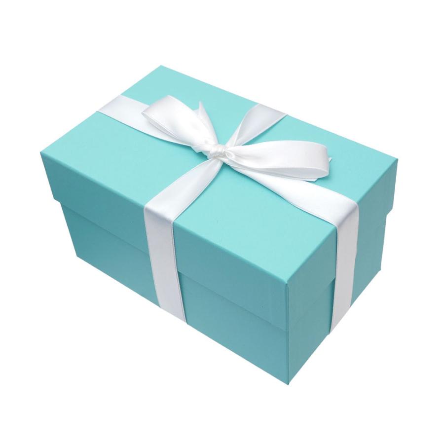 TIFFANY&Co. 新品 ティファニー TIFFANY&CO. ダイヤモンド TIFFANY&Co. 新品 ティファニー TIFFANY&CO. ダイヤモンド