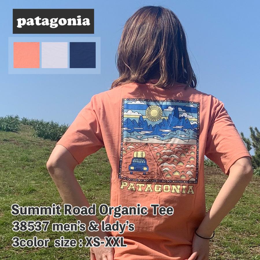 patagonia Tシャツ M's Summit Road Organic Tee サミット patagonia Tシャツ M's Summit Road Organic Tee サミット
