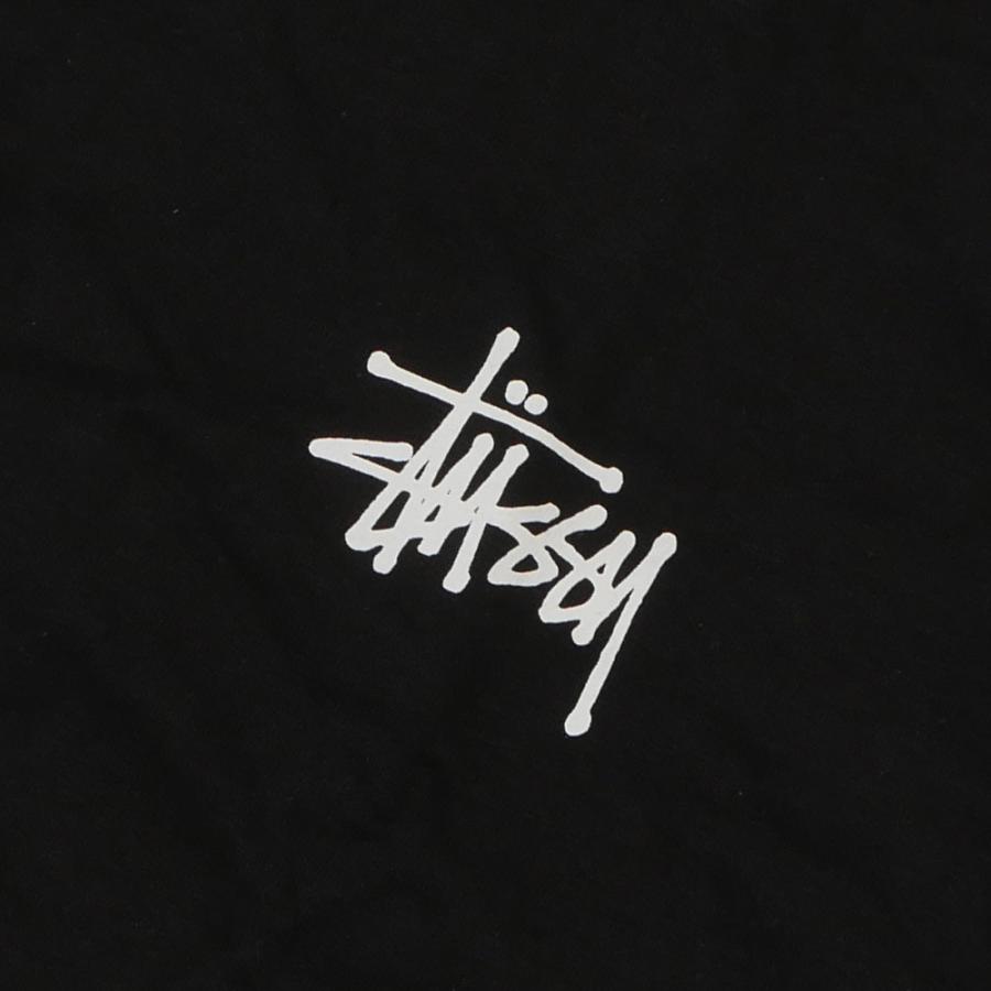 STUSSY（ステューシー） 新品 STUSSY BASIC STUSSY LS TEE 長袖Tシャツ