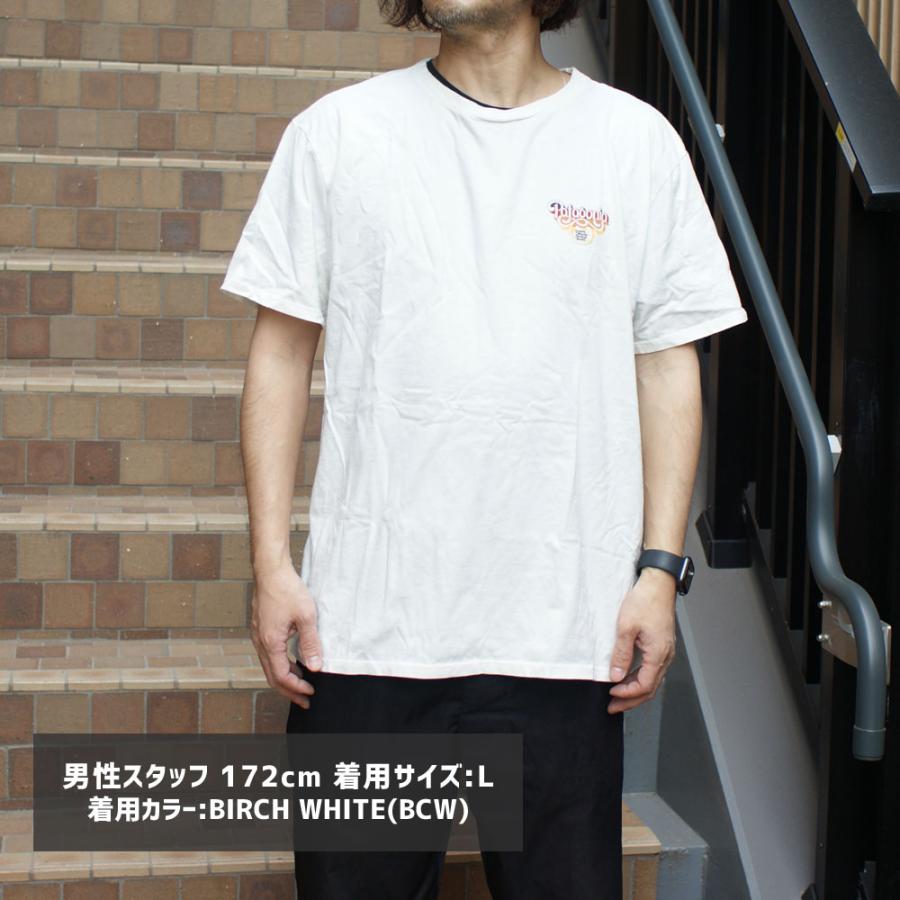 新品 パタゴニア Patagonia M's GPIW LOGO ORGANIC Tee オーガニック T