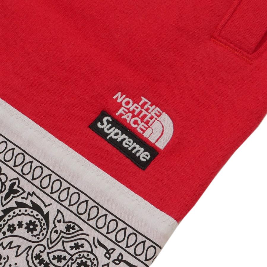 Supreme（シュプリーム） 新品 SUPREME x ザ ノースフェイス THE NORTH