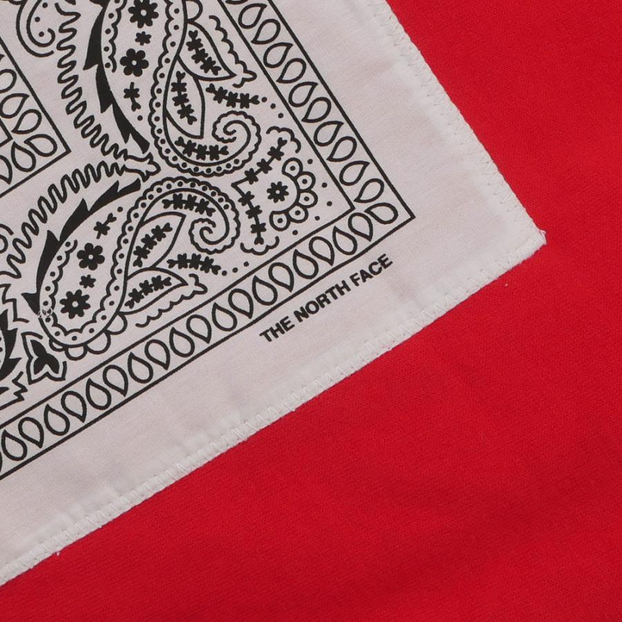 Supreme（シュプリーム） 新品 SUPREME x ザ ノースフェイス THE NORTH