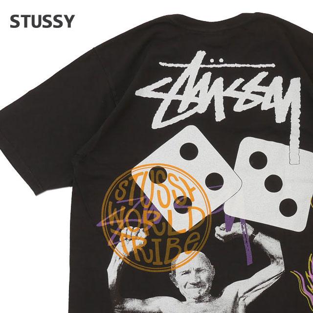 STUSSY 新品 ステューシー STRIKE PIG DYED TEE ピグメント ダイ