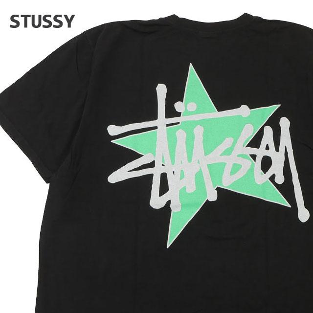 STUSSY 新品 ステューシー STAR PIG DYED TEE ピグメント ダイ T