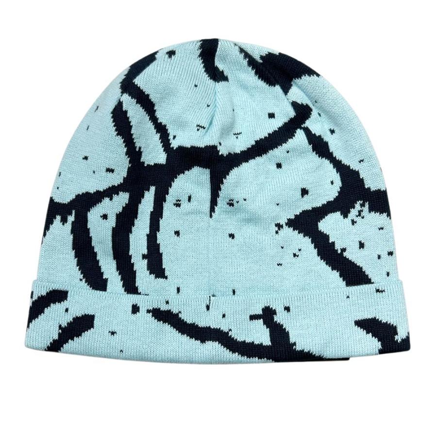ARC'TERYX ビーニー ニット帽 ライトブルー 大人気ビーニーのライト版