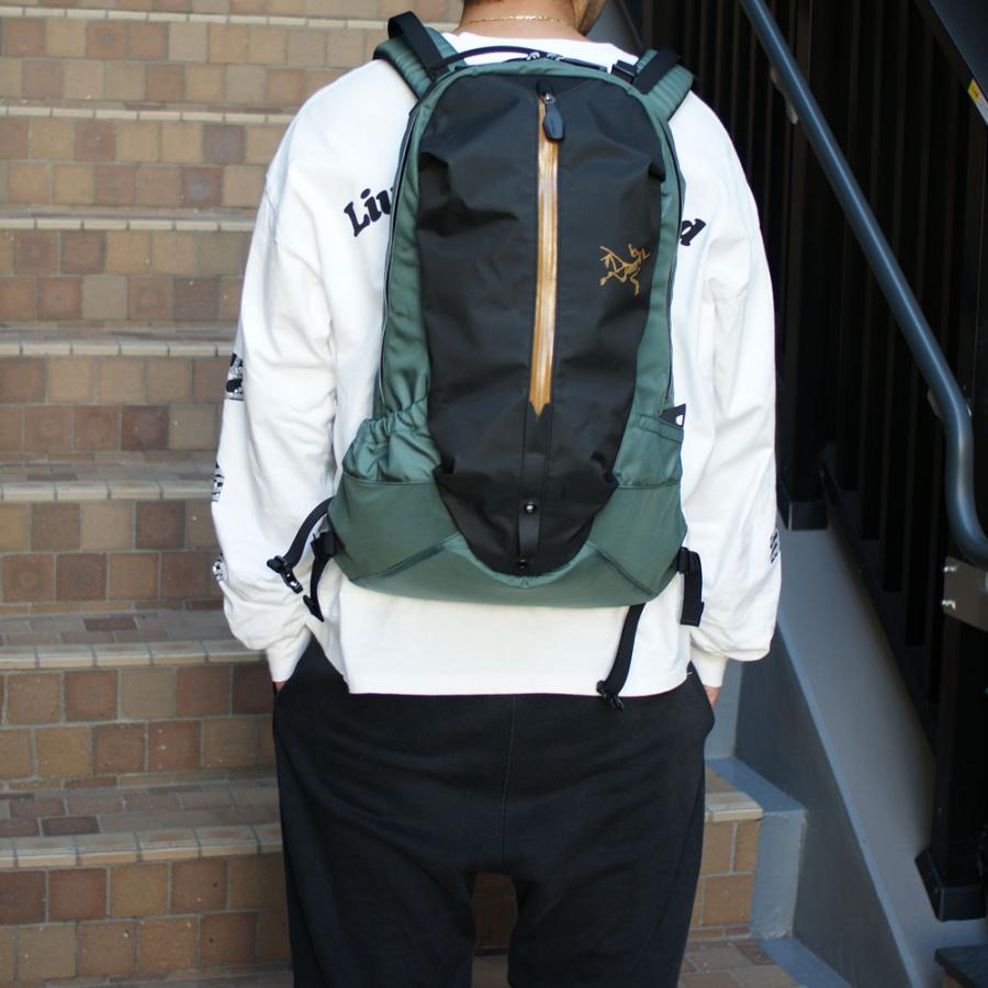 新品 アークテリクス ARC'TERYX 店舗限定 Arro 22 Backpack アロー22 バックパック X000007969 276000421115 グッズ｜cliffedge｜08