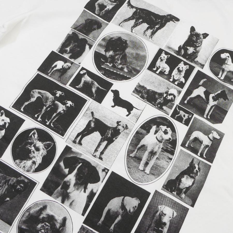 STUSSY 新品 ステューシー DOG COLLAGE TEE Tシャツ スケート