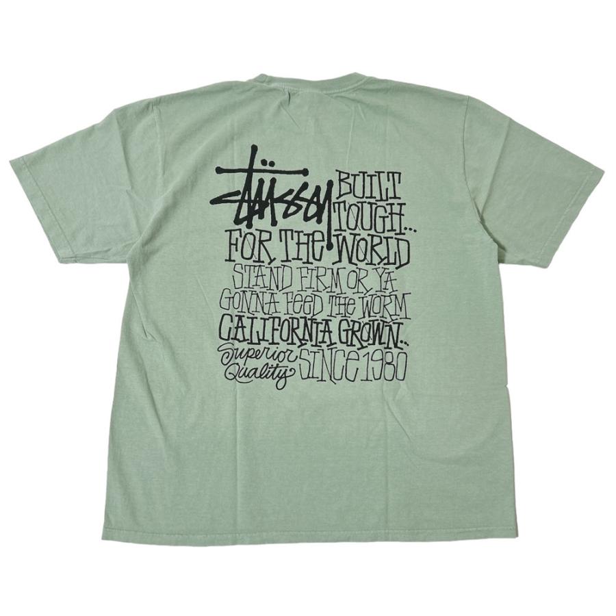STUSSY 新品 ステューシー CALIFORNIA GROWN PIG.DYED TEE