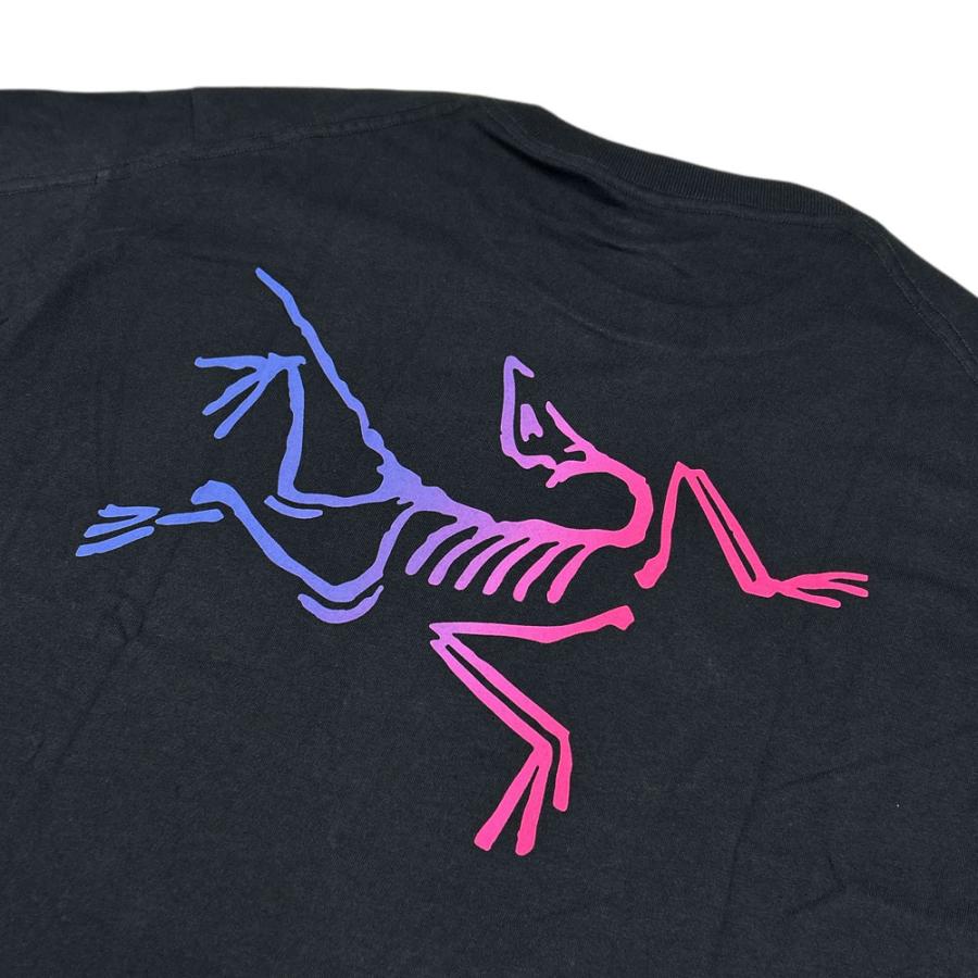 ARC'TERYX 新品 アークテリクス Kragg Cotton Logo SS Tシャツ ARC'TERYX 新品 アークテリクス Kragg Cotton Logo SS Tシャツ