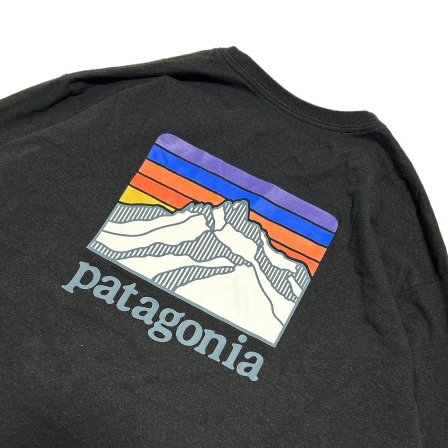 新品 パタゴニア Patagonia M's L/S Line Logo Ridge Responsibili Tee ライン ロゴ リッジ レスポンシビリ 長袖Tシャツ 38517 アウトドア キャンプ TOPS patagonia（パタゴニア） 【価格見直しました】 新品 Patagonia M's L