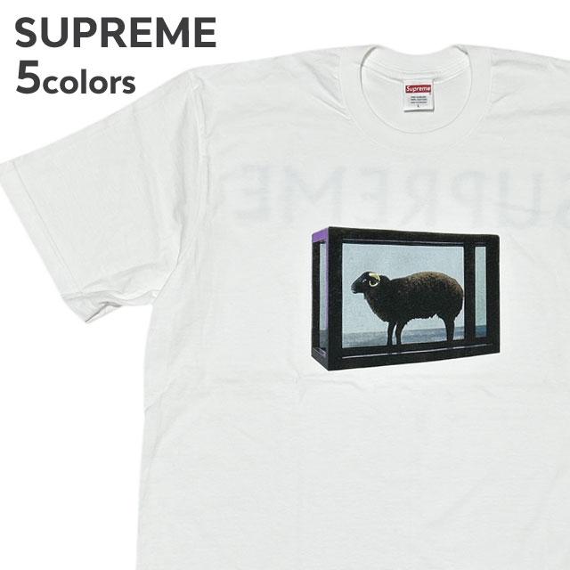 Supreme 新品 シュプリーム SUPREME 25SS Damien Hirst Tee Supreme 新品 シュプリーム SUPREME 25SS Damien Hirst Tee