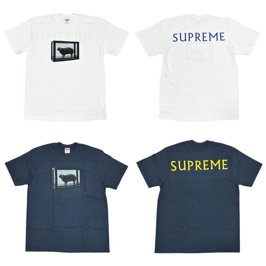 Supreme 新品 シュプリーム SUPREME 25SS Damien Hirst Tee Supreme 新品 シュプリーム SUPREME 25SS Damien Hirst Tee