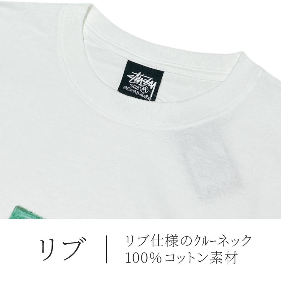 STUSSY（ステューシー） 新品 STUSSY BERRIES TEE Tシャツ スケート