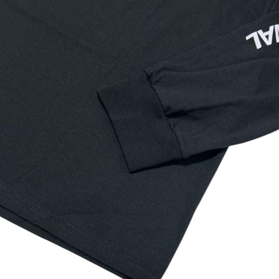 STUSSY（ステューシー） 新品 STUSSY INTERNATIONAL LS TEE 長袖T