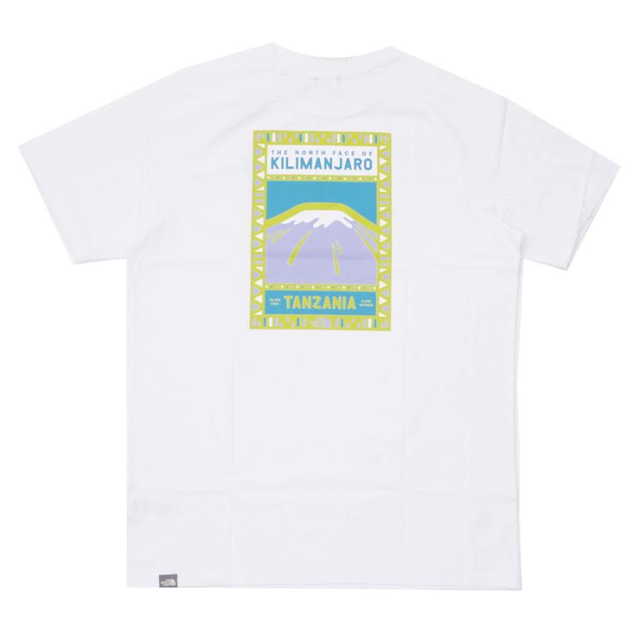 north face kilimanjaro shirt