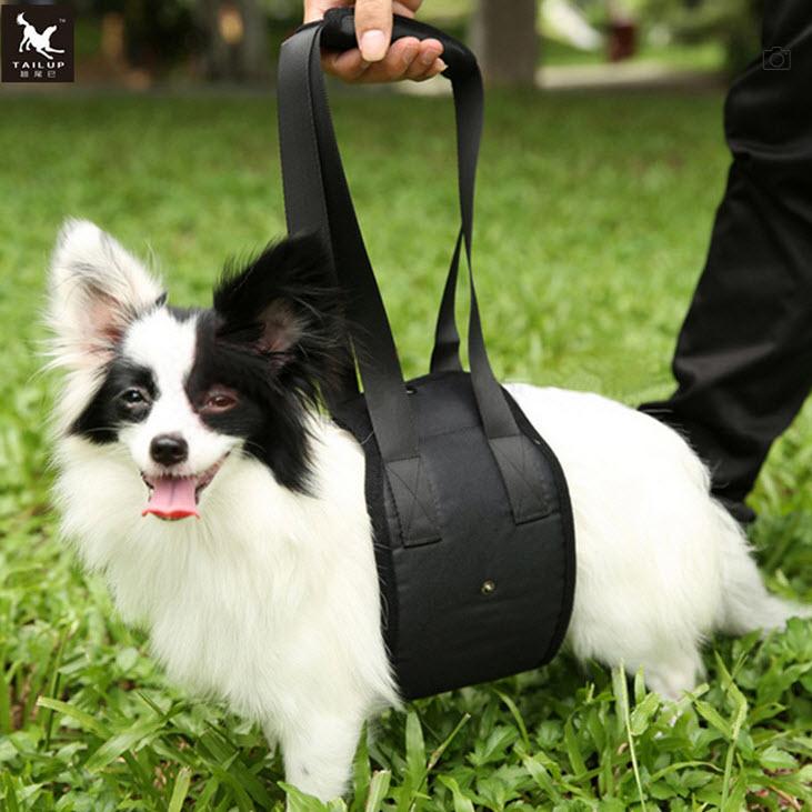 シニア犬 老犬 ペット アシストバンド ハーネス いまだけ老犬用 