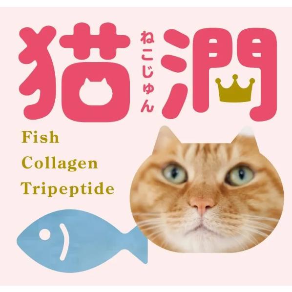 猫潤】18g ＊ずっと元気で側にいてほしいから 猫ちゃんの【エイジング