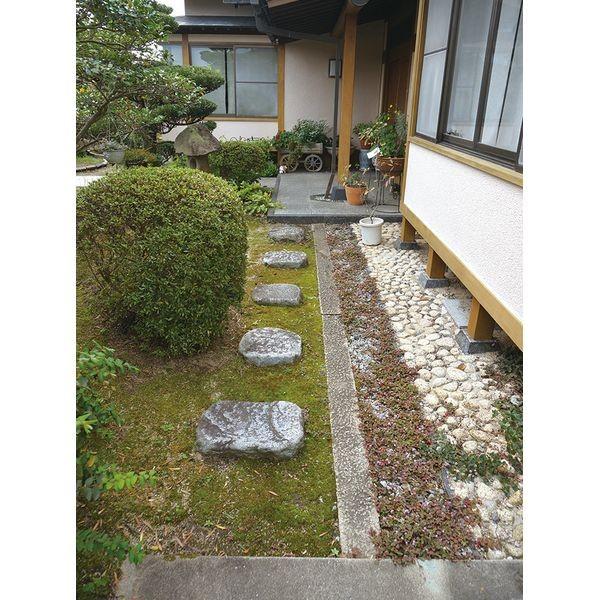 【正規販売店】 車いす用スロープ 段ない・ス ロールタイプ 2100 長さ210cm 日本製 介護保険レンタル 株式会社シコク 【RI2167166589】(75988円)