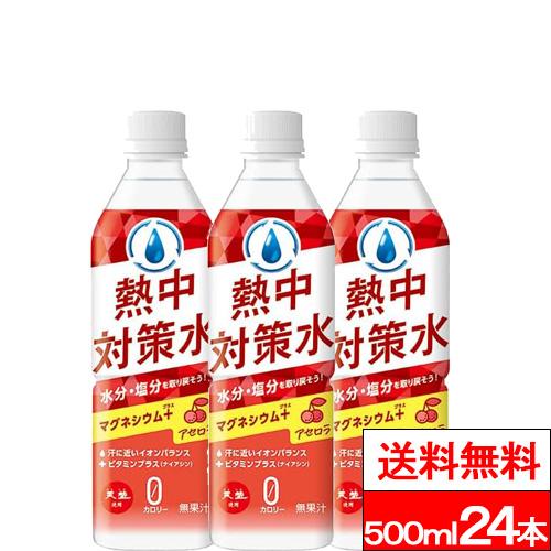 熱中対策水 特別価格 送料無料 1ケース 赤穂化成 アセロラ味 500ml 24