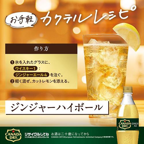 カナダドライ 全国配送対応 送料無料 コカ・コーラ カナダドライ