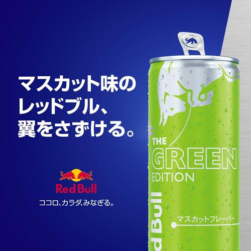 レッドブル（RedBull） 送料無料 1ケース グリーンエディション 250ml
