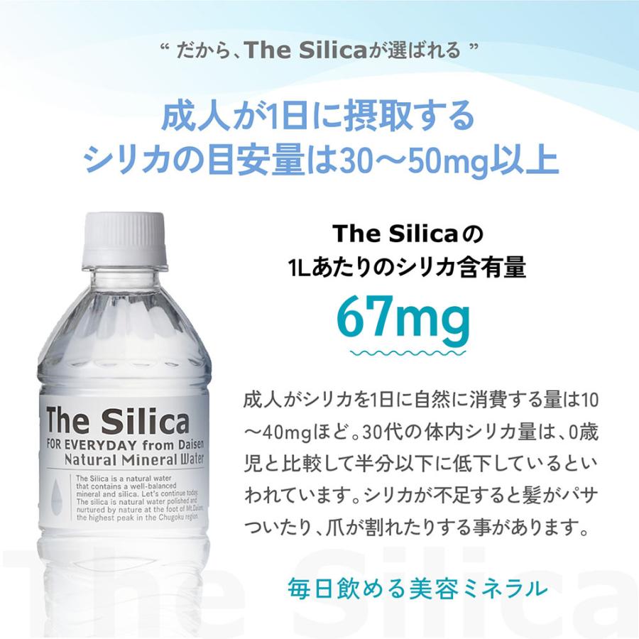 送料無料 国産 シリカ水 The Silica 500ml 24本 2箱(計48本 送料無料 国産 シリカ水 The Silica 500ml 24本 2箱(計48本