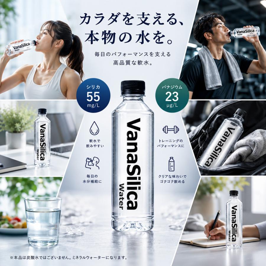送料無料 天然水 VanaSilica Water バナシリカウォーター 550ml 24本