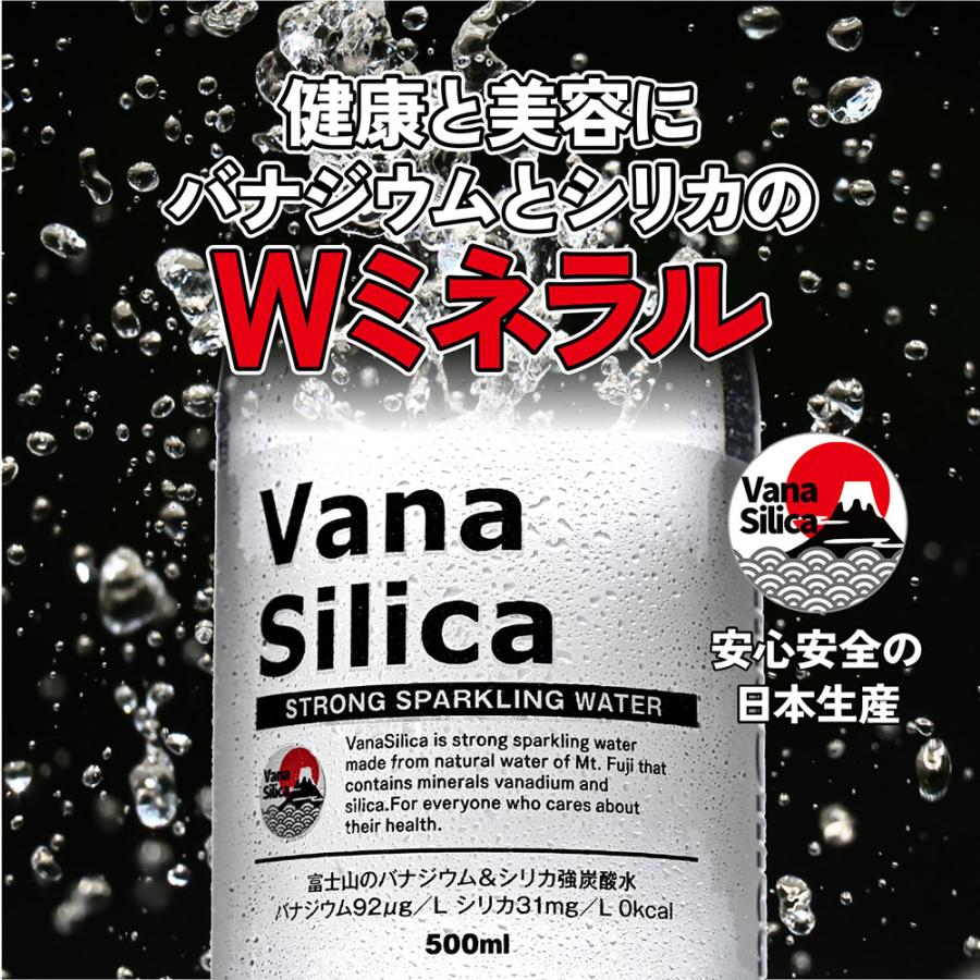 炭酸水 500ml 送料無料 48本 無糖 VanaSilica バナシリカ 強炭酸