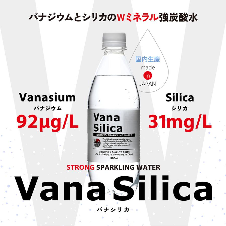 炭酸水 500ml 送料無料 48本 無糖 VanaSilica バナシリカ 強炭酸