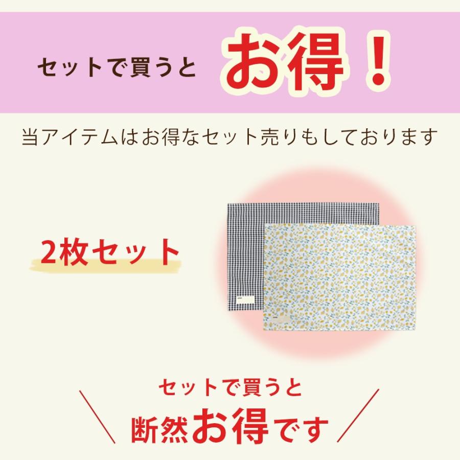 ランチョンマット Sサイズ 2枚セット 小学校 保育園 幼稚園 撥水 ノン
