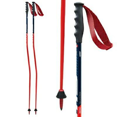 SWIX スウィックス スキー ポール GSストック 2022 ワールドカップGS