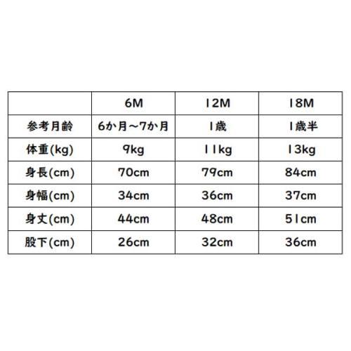 PATAGONIA スキー ウェア キッズ ベビー スノー用 つなぎ スーツ  