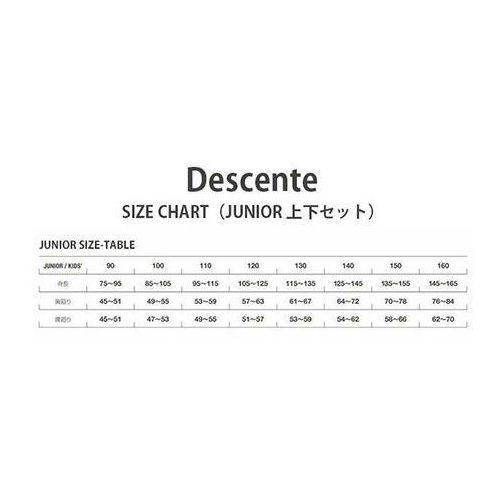 DESCENTE（デサント） スキー ウェア 上下セット キッズ ジュニア 2023