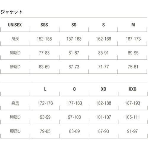 DESCENTE（デサント） スキー ウェア 上下セット メンズ レディース