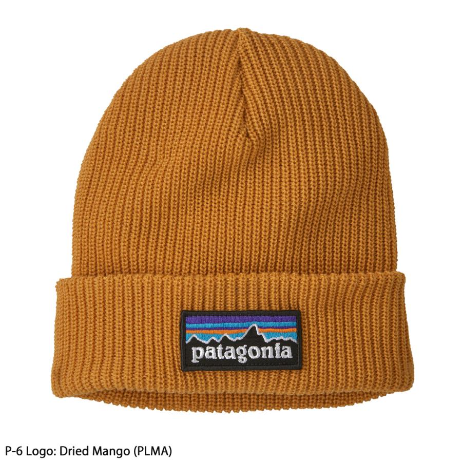 patagonia（パタゴニア） スキー ニット帽 キッズ ジュニア＜2024