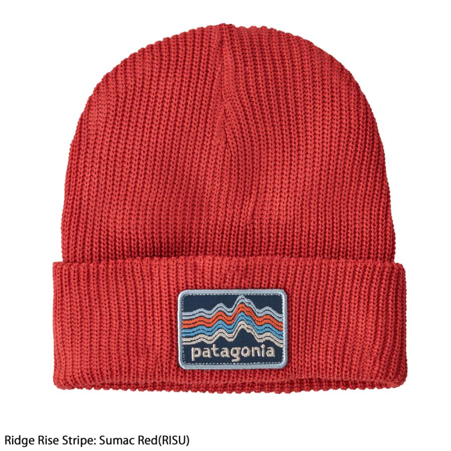 patagonia（パタゴニア） スキー ニット帽 キッズ ジュニア＜2024