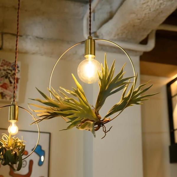 BOTANIC HANGING WIRERING LIGHT M ペンダントライト SWAN スワン電器 Another Garden APE-045 北欧 キッチン E26 | 