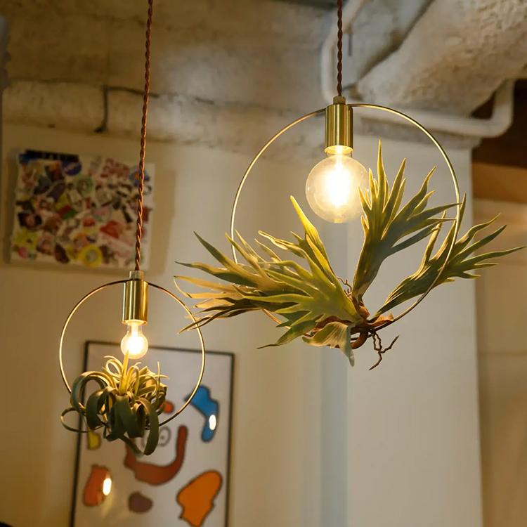 BOTANIC HANGING WIRERING LIGHT S  SWAN Another Garden APE-046キッチン ダイニング 北欧 E17 ペンダントライト |  | 05