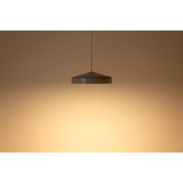LEDペンダントライト EON LED PENDANT LIGHT L イオン 調光 リモコン式 ダイニング リビング スチール 真鍮 ブラック ホワイト グレージュ ペールカラー |  | 02