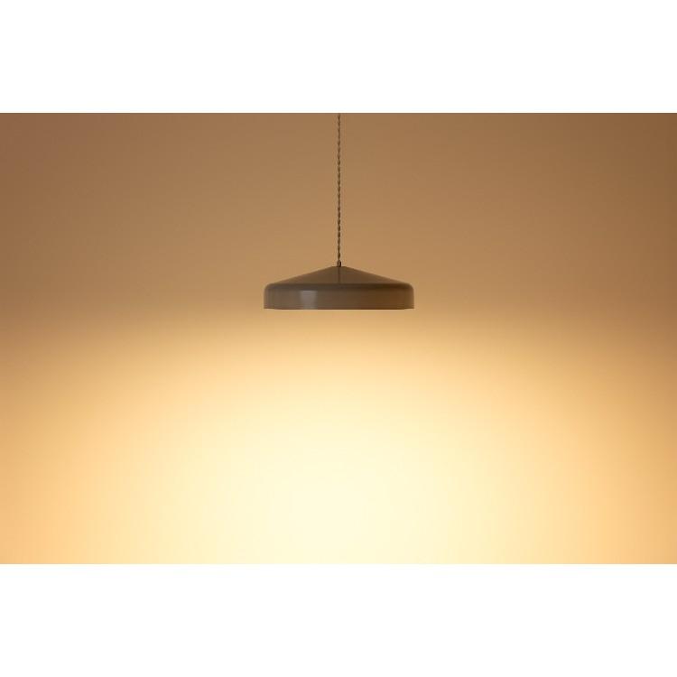 LEDペンダントライト EON LED PENDANT LIGHT L イオン 調光 リモコン式 ダイニング リビング スチール 真鍮 ブラック ホワイト グレージュ ペールカラー |  | 03